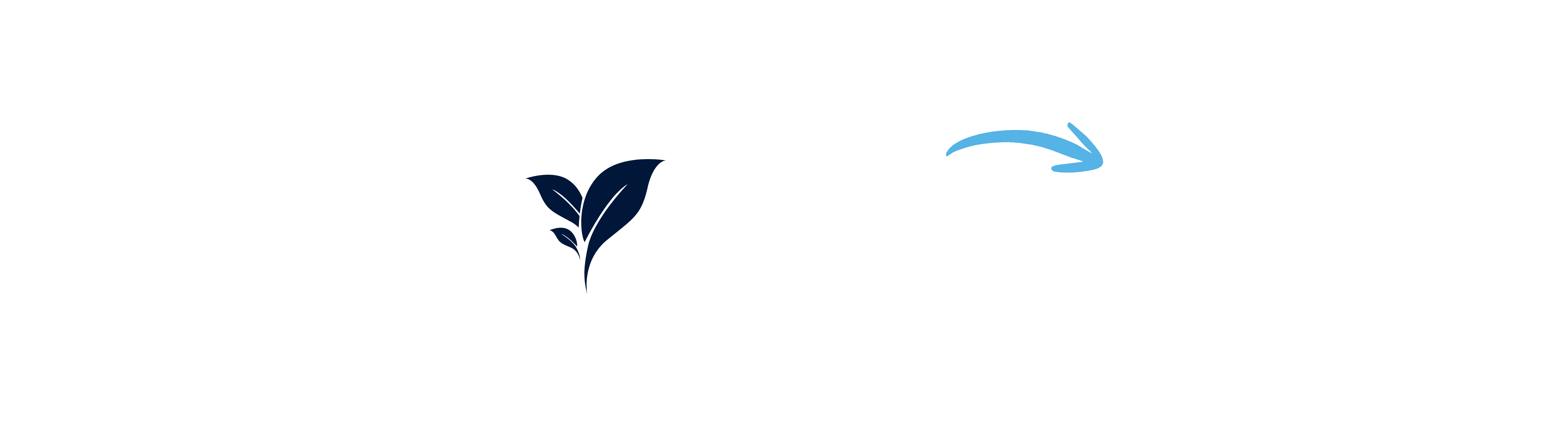 Sustainability Advisory